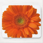 Orange Daisy Mouse Pad