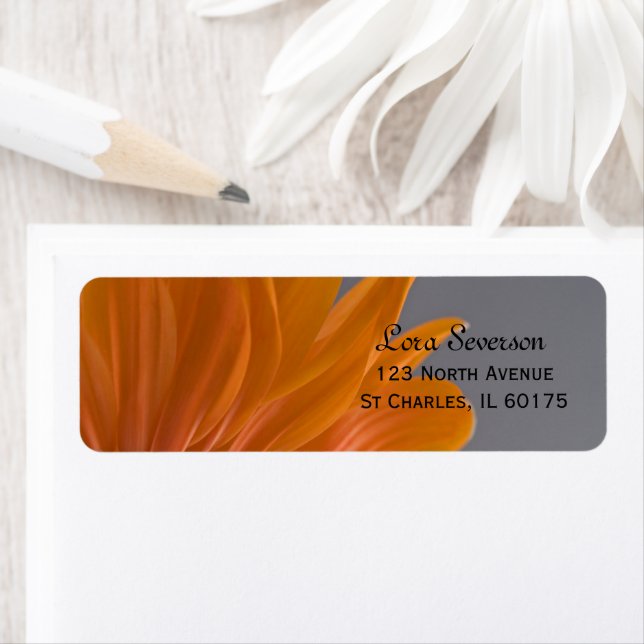 Orange Daisy on Gray Return Address Label (Insitu)