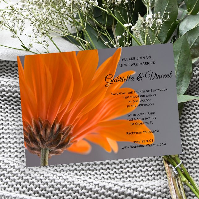 Orange Daisy on Gray Wedding Invitation (Invite guests to your garden marriage with the pretty Orange Daisy on Gray Wedding Invitation.)