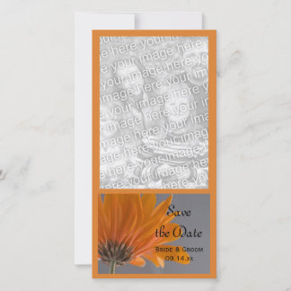 Orange Daisy on Gray Wedding Save the Date