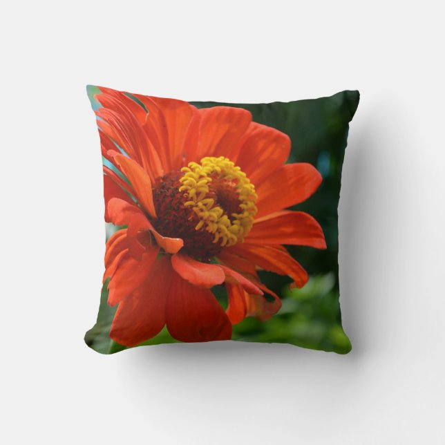 Orange daisy, zinnia, cosmo throw pillow (Front)