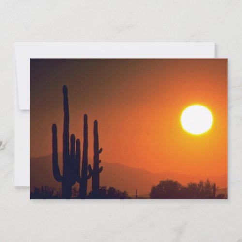 Orange Dark Evening Personalized Invitations