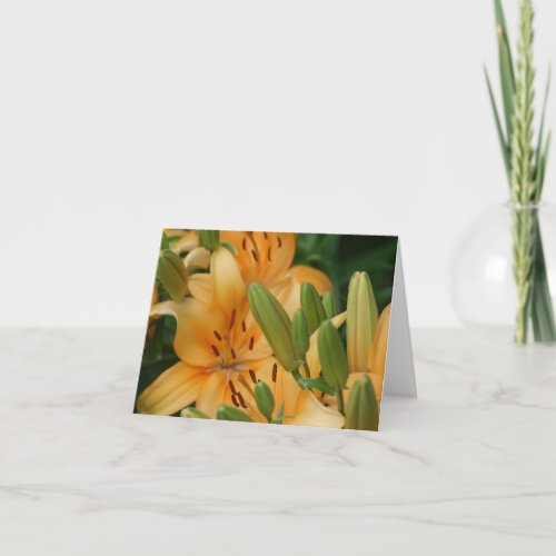 Orange Day Lilies Note Cards