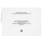 Orange day lily cards (Back Horizontal)