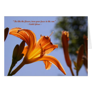 Orange day lily cards
