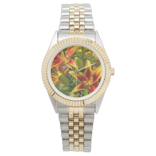 Orange Day Lily Garden Bloom Watch