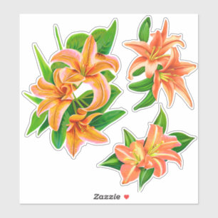 Orange Daylilies and Green Leaves Sticker