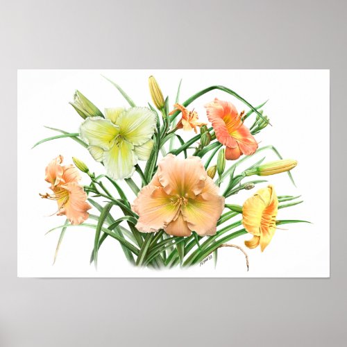 Orange Daylilies Original Botanical Art Print