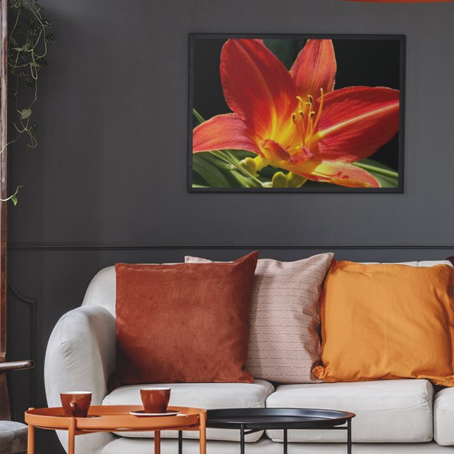 Orange Daylily Bloom Floral Framed Art (In Situ Framed)