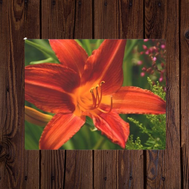 Orange Daylily Bloom Floral Metal Print (In Situ)