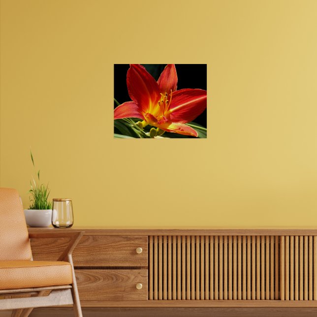 Orange Daylily Bloom Floral Poster (Living Room 2)