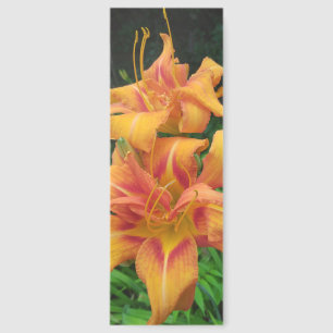 Orange Daylily Blooms Bookmarks