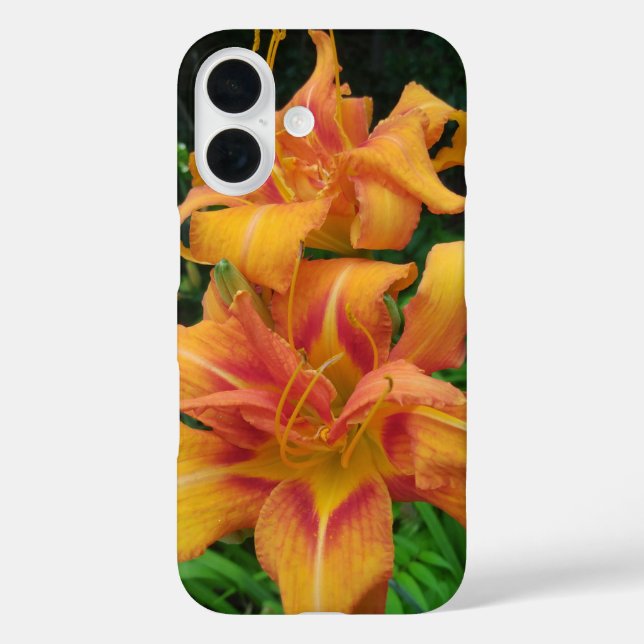 Orange Daylily Blooms Case-Mate iPhone Case (Back)