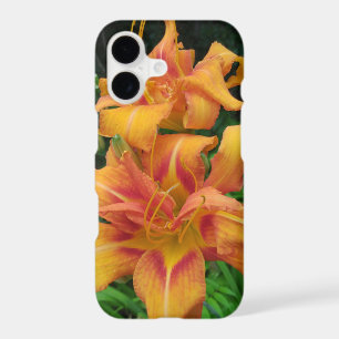 Orange Daylily Blooms iPhone 17 Case