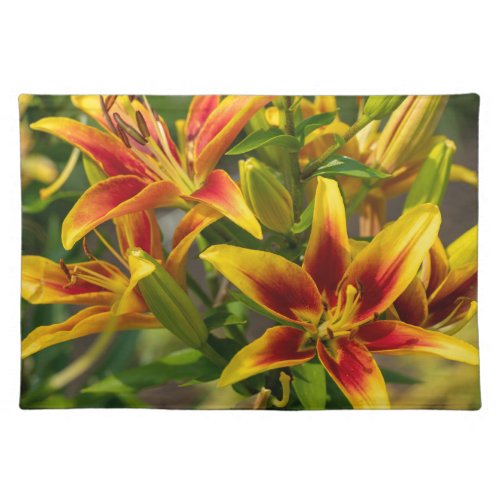 Orange Daylily Canadian Flower Photography Cloth Placemat