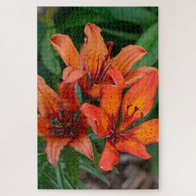 Orange Daylily Canadian Flower Photography Jigsaw Puzzle (Vertical)