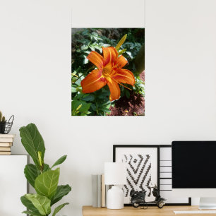 Orange Daylily Flower Photo Print