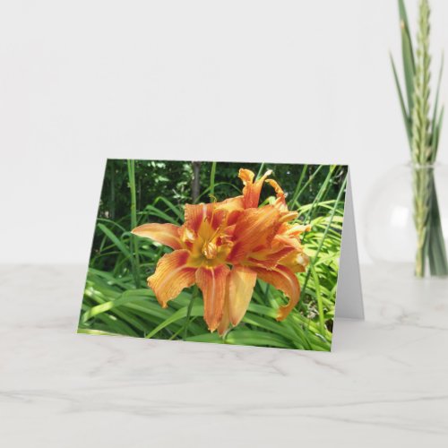 Orange Daylily Flowers Horizontal Card