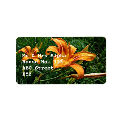 Orange Daylily Label