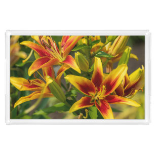 Orange Daylily Photography, Canadian Beauty Acrylic Tray