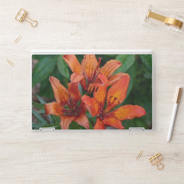 Orange Daylily Photography, Canadian Beauty HP Laptop Skin (Desk)