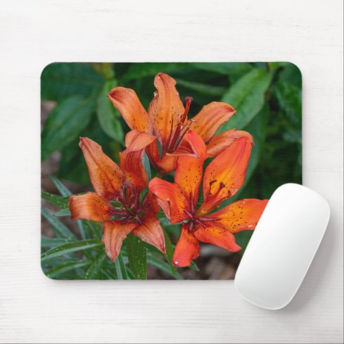 Orange Daylily Photography Canadian Beauty Mouse Pad