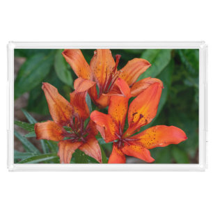 Orange Daylily Photography, Canadian Flower Acrylic Tray