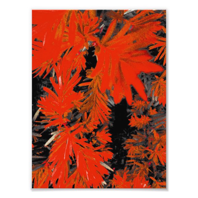 ORANGE DEED PHOTO PRINT (Front)