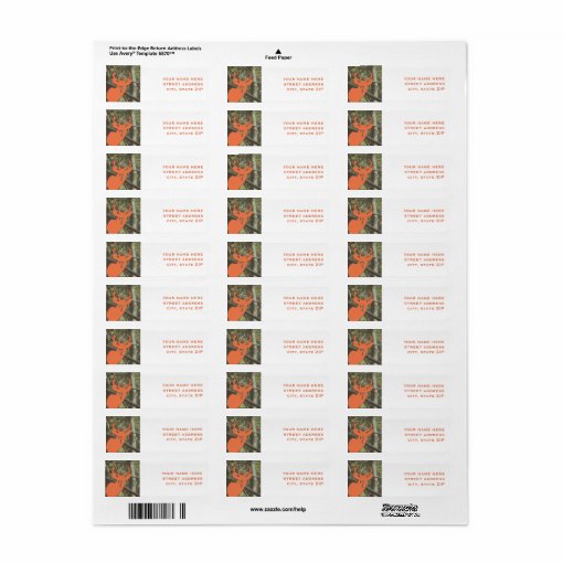 Orange Deer Hunting Birthday Party Address Labels | Zazzle