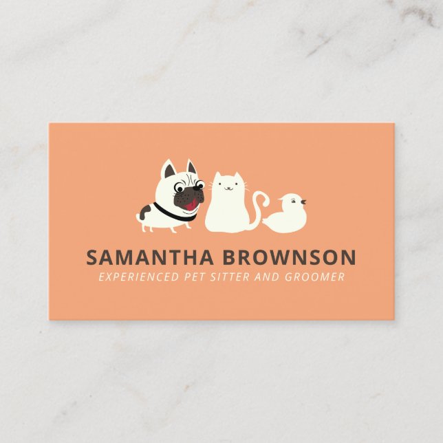 Orange Dog Cat Bird Pet Sitter Business Card (Front)