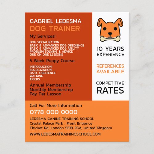 Orange Dog Dog Trainer Advertising Flyer