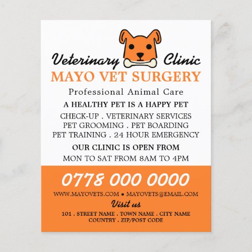 Orange Dog Veterinarian Veterinary Service Flyer