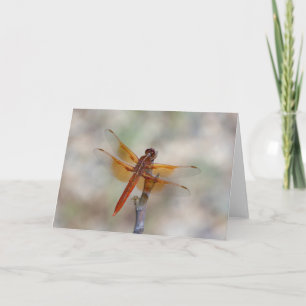 Orange Dragonfly Blank Card
