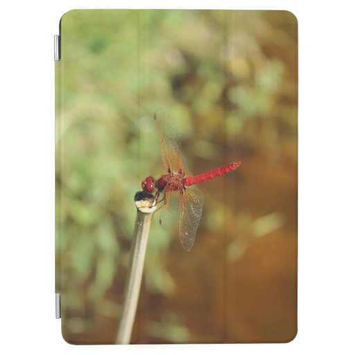 Orange Dragonfly iPad Air Cover