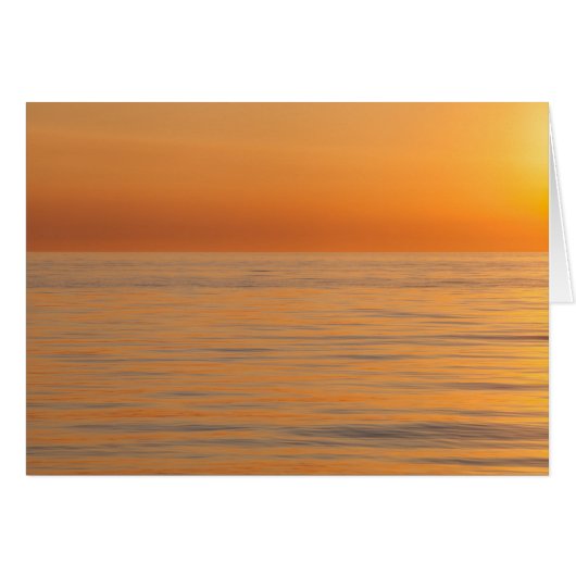 Orange Dream Beach Cards (Front Horizontal)