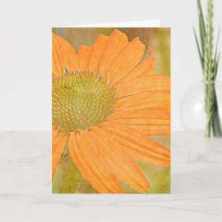 Orange Echinacea Art Customizable Card