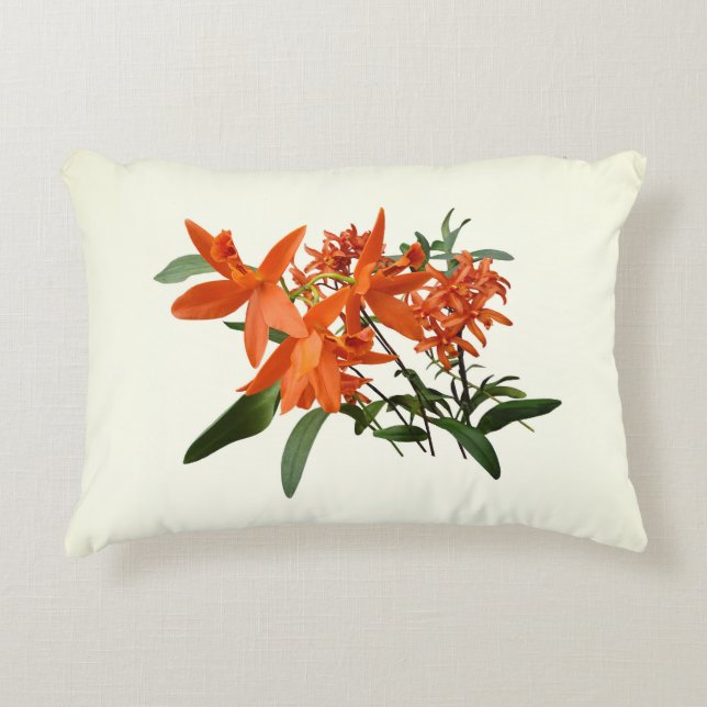 Orange Epidendrum Orchid Accent Pillow (Front)