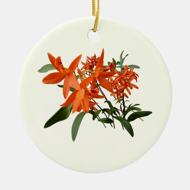 Orange Epidendrum Orchid Ceramic Ornament (Front)