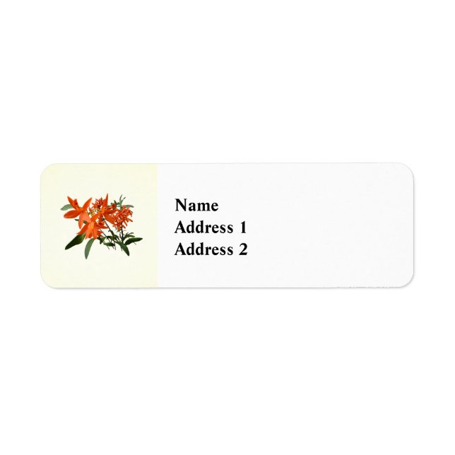 Orange Epidendrum Orchid Label (Front)
