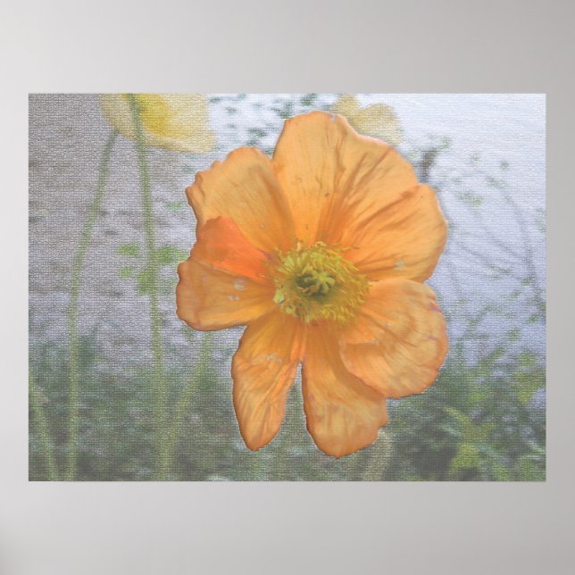 Orange Essence Poster (Front)