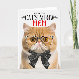 Orange Exotic Shorthair Cat for Mom Mother's Day Holiday Card
