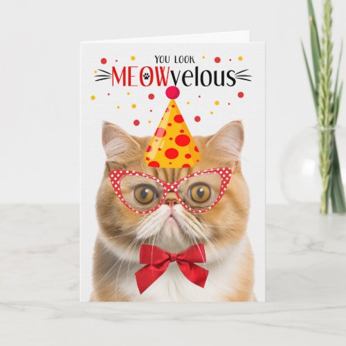 Orange Exotic Shorthair Cat MEOWvelous Birthday Card