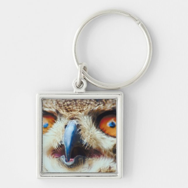 Orange Eyed Owl Keychain (Front)