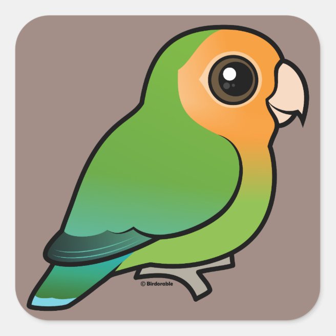 9 Awesome Lovebird Facts in Fun Facts, Lovebirds