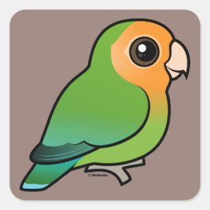 Orange-faced Peach-faced Lovebird Square Sticker