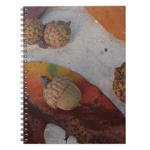 Orange fall leaves and acorns notebook