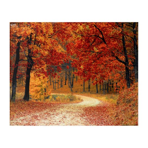 Orange Fall Leaves Country Dirt Road Photo  Acrylic Print