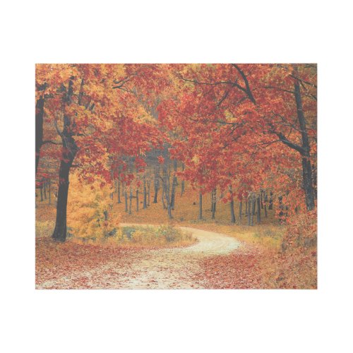 Orange Fall Leaves Country Dirt Road Photo Gallery Wrap