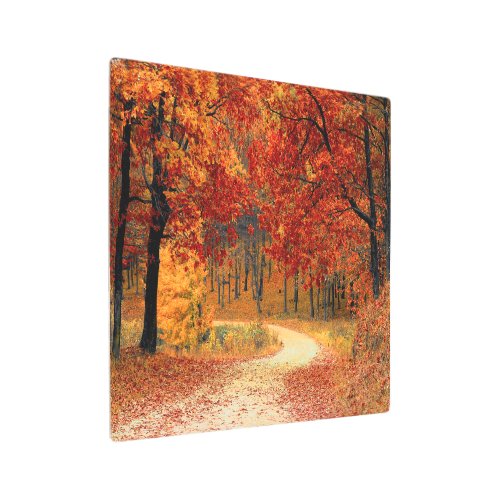 Orange Fall Leaves Country Dirt Road Photo  Metal Print