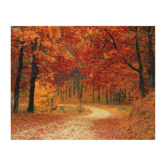 Orange Fall Leaves Country Dirt Road Photo Wood Wall Art